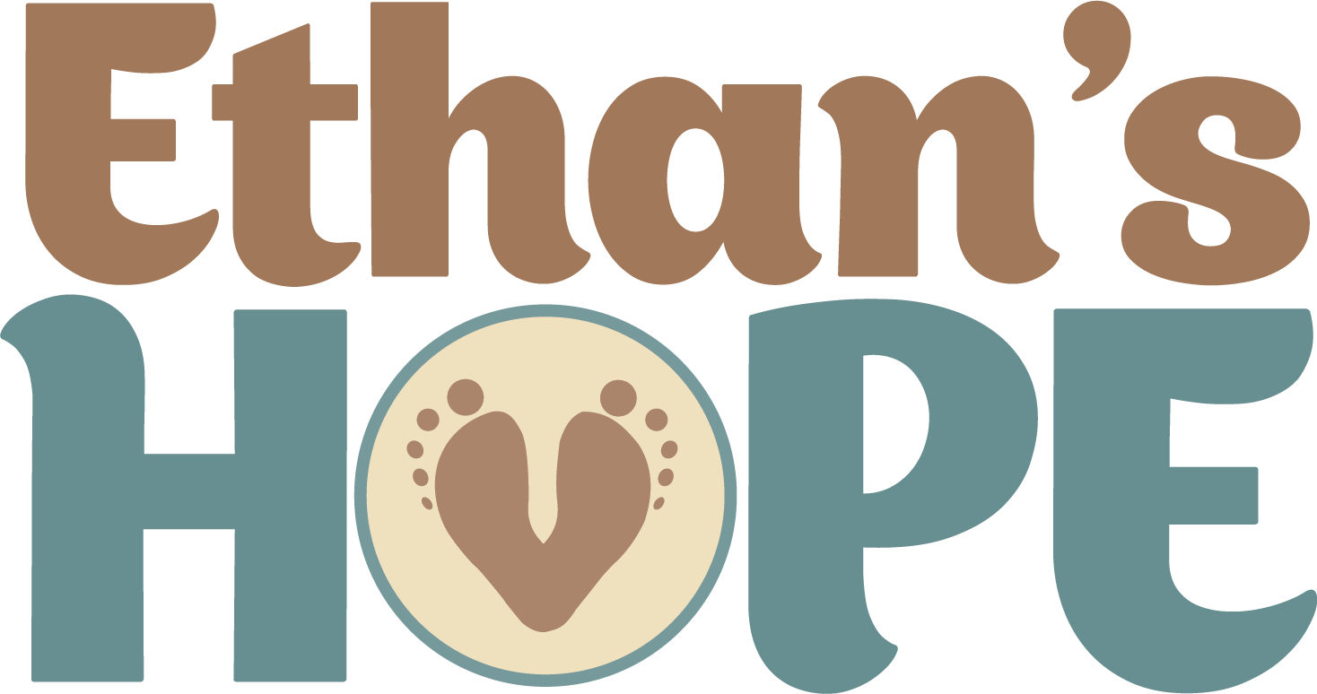 The Ethan's Hope Logo with a circle for the O and two baby footprints in the middle. Colors are brown and teal